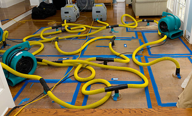 Professional Flood Damage Restoration technician working in Thorndale, TX